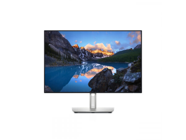 Dell 61.13cm/24'' UltraSharp 210-AXMB HDMI 2xDisplayPort USB-C DELL-U2421E