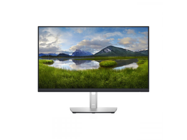 Dell 23.8 Écran 60.47cm/24inch Professionel P2422H FHD 210-AZYX