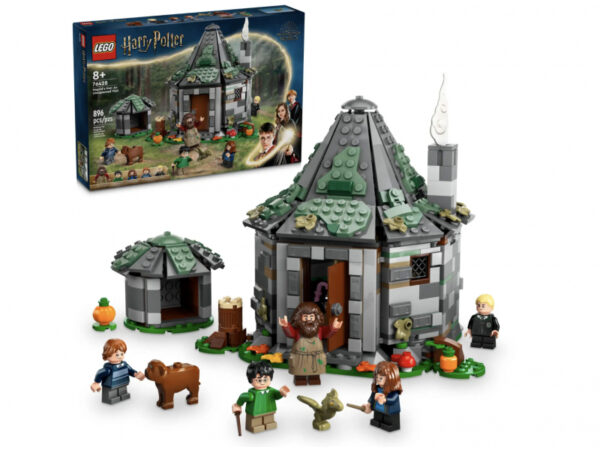 LEGO Harry Potter - La cabane de Hagrid  une visite inattendue (76428)