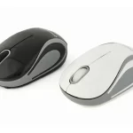 Gembird Optische Wireless-Maus. mixed color - MUSW-3B-01-MX