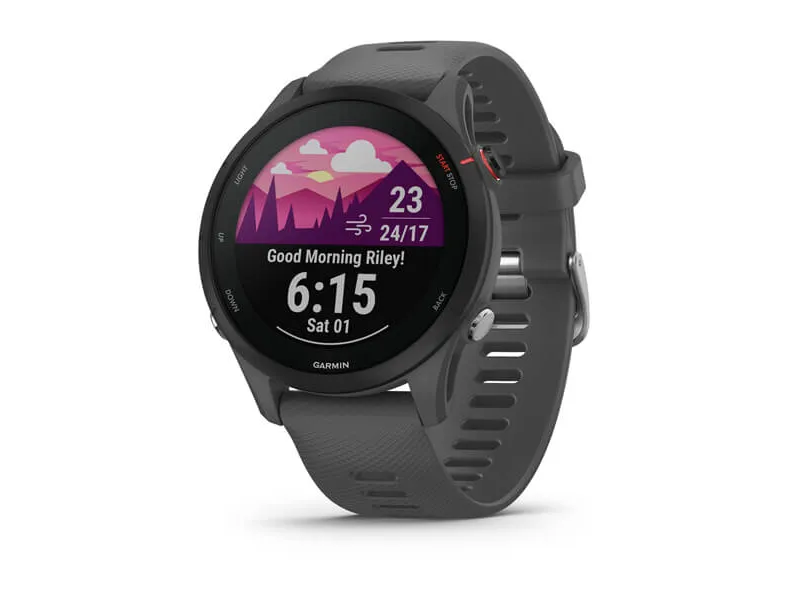 Garmin Forerunner 255 4GB Slate Gray/Black 010-02641-10